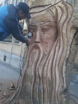 مجسمه چوبی مولانا بر چنار خشک باغ فردوس نقش بست