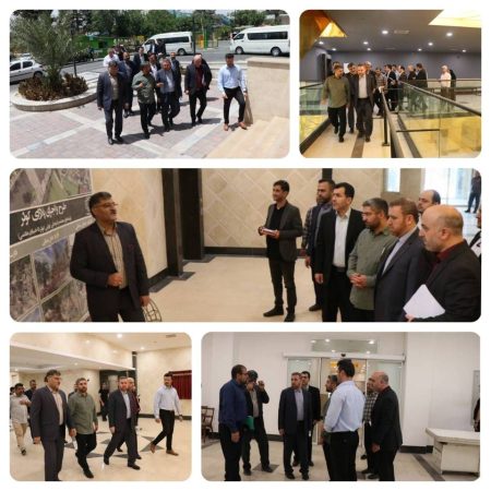 بازدید رئیس کمیته نظارت شورای اسلامی شهر تهران از پروژه های منطقه۹