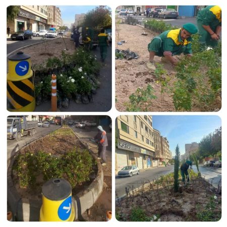 عملیات احداث فضای سبز بلوار قدس عملیات احداث فضای سبز بلوار قدس