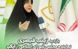 مجلس و دولت باید حامی پیام‌رسان‌های داخلی باشند