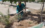 استقرار نیرو‌های خدمات شهری منطقه ۱۲در پهنه تعیین شده