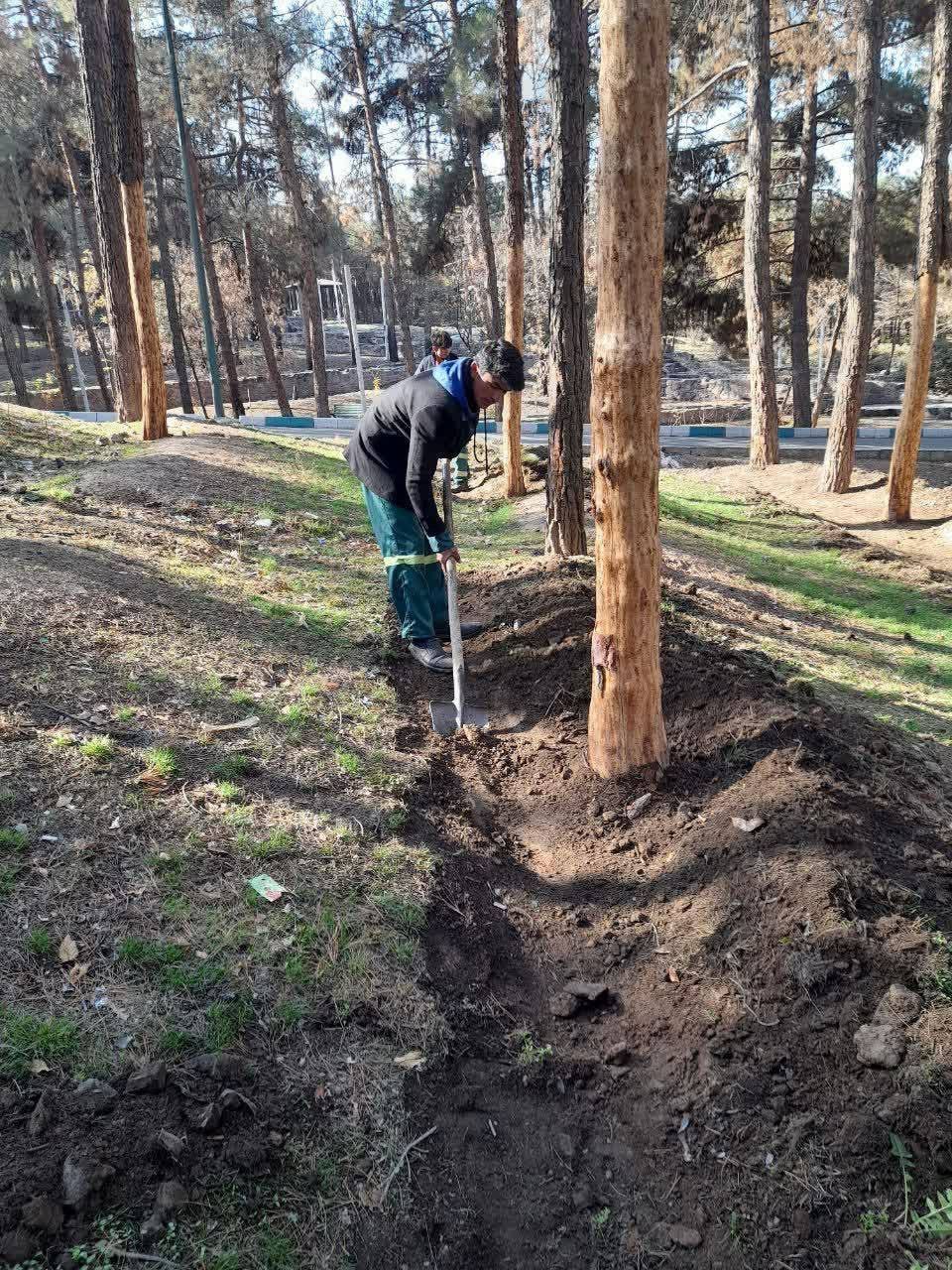 لایروبی انهار و به زراعی فضای سبز بوستان جنگلی سرخه حصار