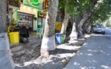بازسازی نهر باغچه خیابان ولیعصر (عج) با اولویت حفظ درختان چنار کهنسال