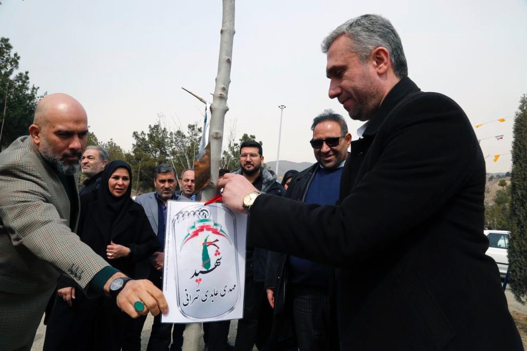 ۲۴ هزار درخت تازه نفس در منطقه ۵ هوایی پاک تر ،شهری سبزتر ۲۴ هزار درخت تازه نفس در منطقه ۵ هوایی پاک تر ،شهری سبزتر