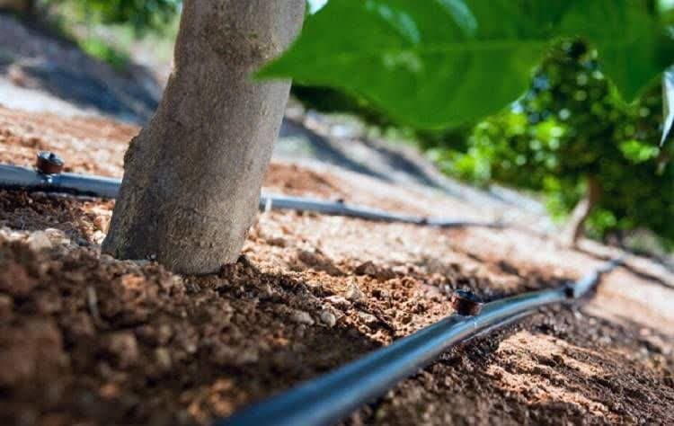 توسعه شبکه آبیاری فضای سبز در منطقه ۲ شهرداری تهران توسعه شبکه آبیاری فضای سبز در منطقه ۲ شهرداری تهران