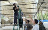 شهرداری منطقه ۵ با تمام توان در خدمت زائران اربعین
