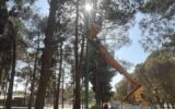 ارتقا روشنایی بوستانهای منطقه ۱۹ با نصب بیش از 350 پروژکتور ارتقا روشنایی بوستانهای منطقه ۱۹ با نصب بیش از 350 پروژکتور