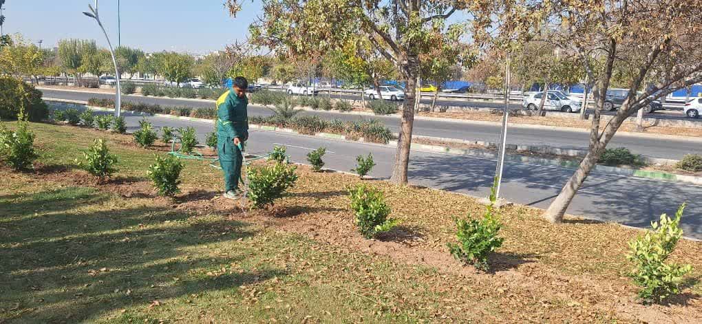 کاشت بیش از ۳۳ هزار اصله درخت و درختچه در منطقه ۱۹ کاشت بیش از ۳۳ هزار اصله درخت و درختچه در منطقه ۱۹