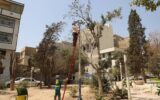 نصب پرژکتورهای روشنایی بوستان‌های منطقه ۱۹ به ۵۷۲ عدد رسید