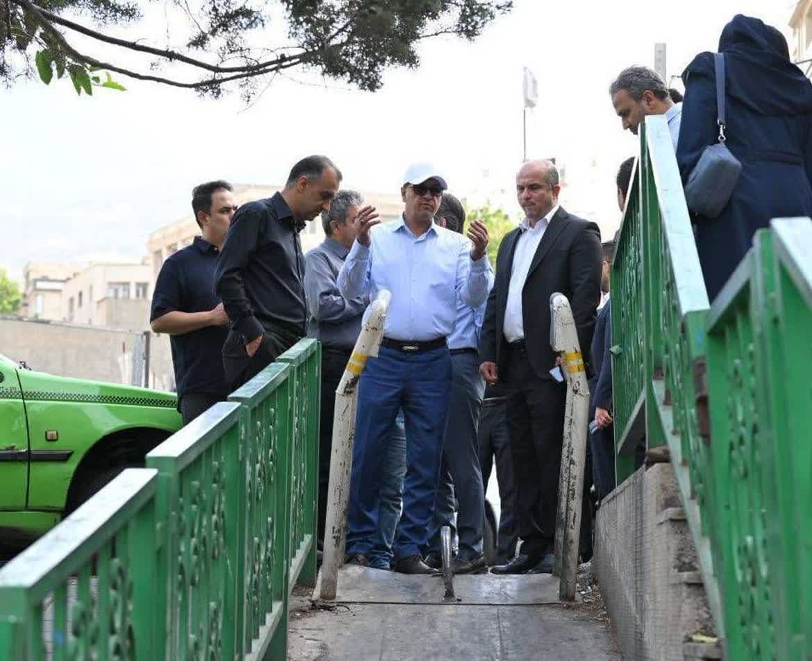 ساماندهی همه جانبه سه بوستان بزرگ منطقه یک ساماندهی همه جانبه سه بوستان بزرگ منطقه یک
