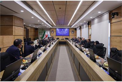 هشدار درباره جنگلزارهای رهاشده خرما؛ ضرورت تجمیع کشاورزان در قالب تعاونی‌ها